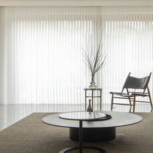 乐巢梦幻帘纱帘竖百叶窗帘透光透人222年新款 窗纱阳台飘窗白纱