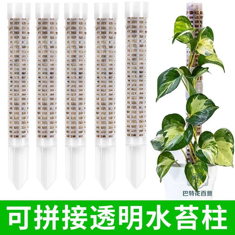 水苔柱拼接爬藤攀附柱热植蔓绿绒绿萝龟背竹攀爬柱固定支架图片