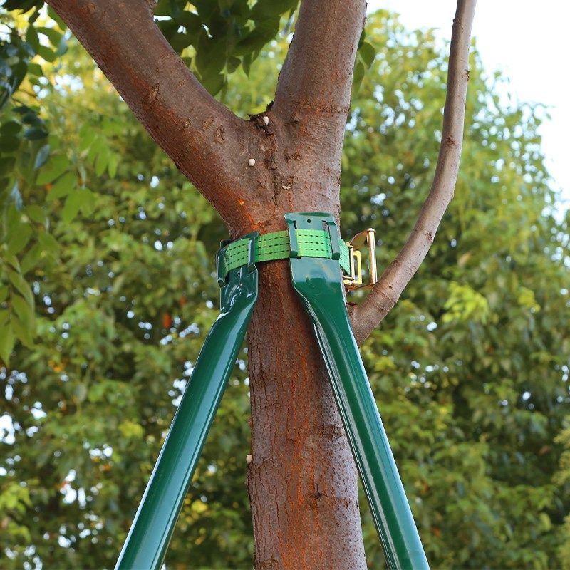 树木支撑架镀锌钢管绿化支撑杆金属大杆防风固定器抱箍支架树撑,农用物资,苗木固定器/支撑器,淘宝优惠券,粉丝福利购,淘宝优惠卷