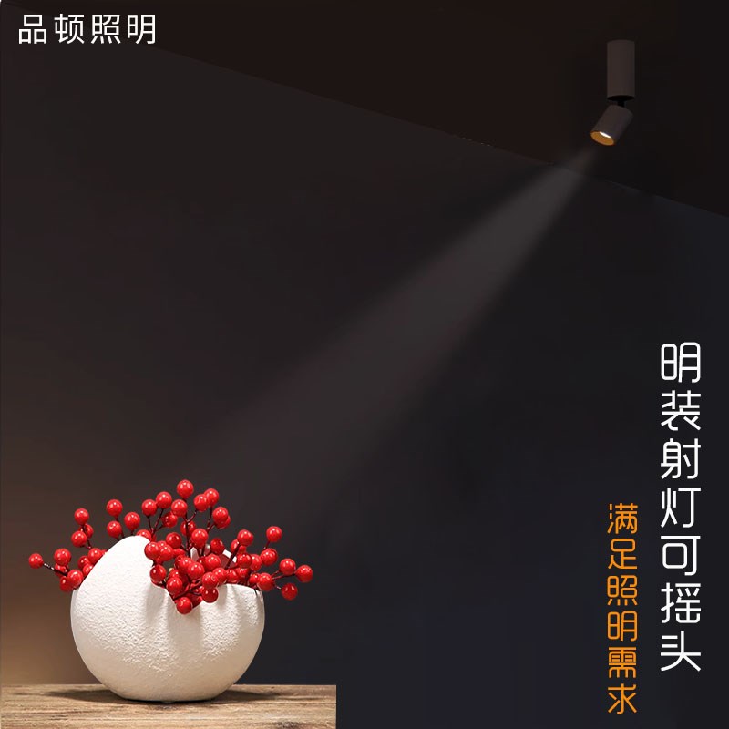 明装聚光射灯w度8度一束餐厅酒吧家用吸顶式可度茶室氛围灯