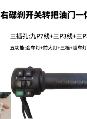 深远电动车台邦N9GTQ转把油门把手关原车直上带闪按钮
