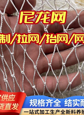 定制尼龙网拉网拖网抬网渔网箱清塘网鱼网养鱼网箱捕鱼网养殖网片