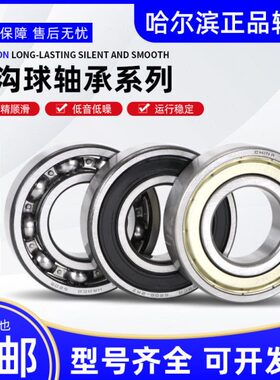 哈尔滨深沟球轴承6021 6022 6024 6026 6028 6030 6032/2RZ/2RS/M