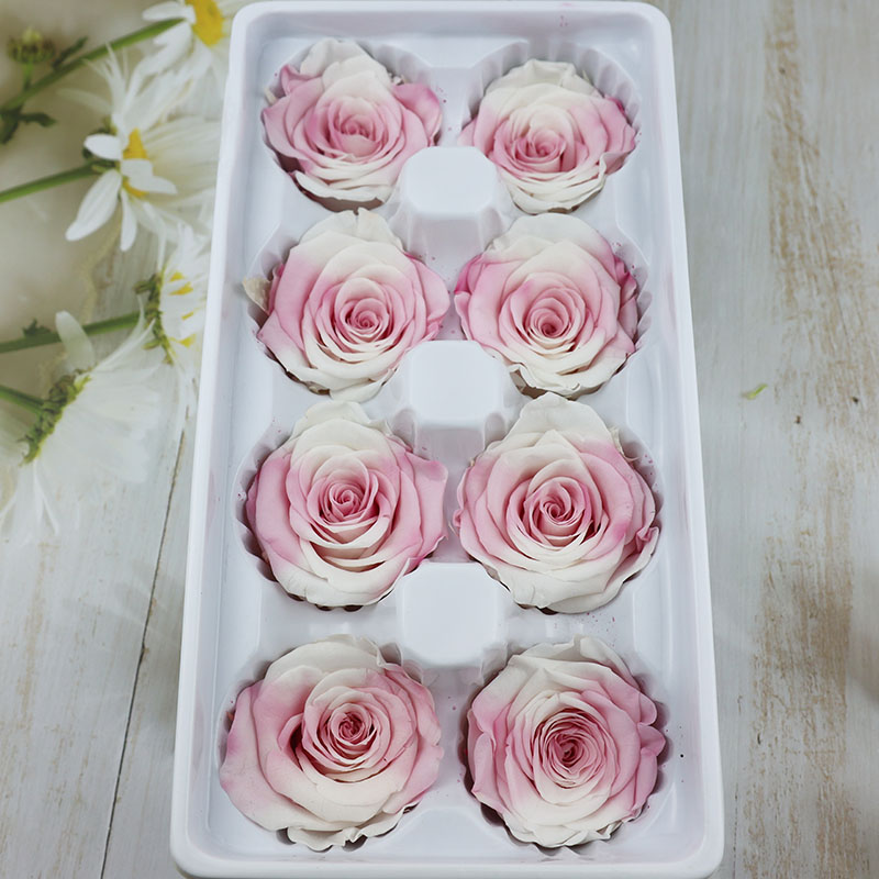 花掌柜七夕A级永生花真玫瑰整盒4-5cmdiy手工材料玻璃罩礼盒花材