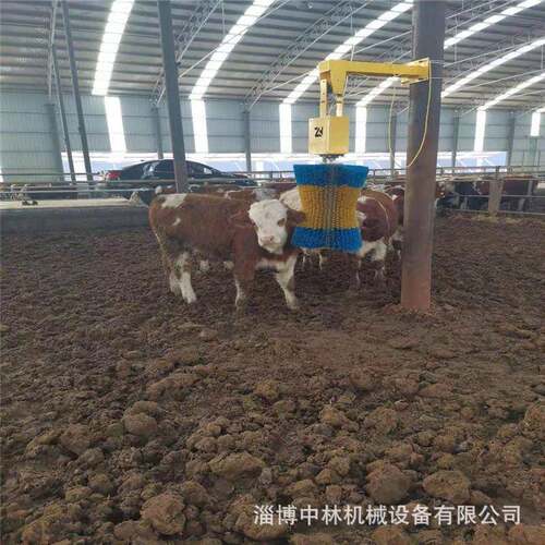牧场奶厅设备牛马驴骆驼羊用智能挠挠痒身体刷牛体刷