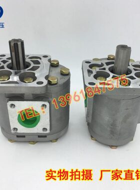 齿轮泵CBT-G520 CBT-G525 CBT-G532 CBT-G540 CBT-G550 G563 G580