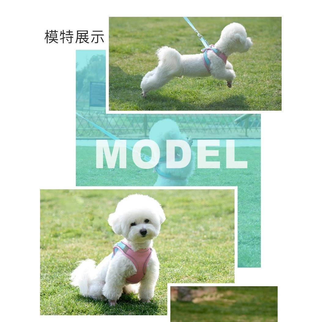 大网眼透气宠物牵引带反光宠物胸背带中小型狗狗猫咪牵引绳遛猫绳,宠物/宠物食品及用品,狗牵引绳,淘宝优惠券,粉丝福利购,淘宝优惠卷