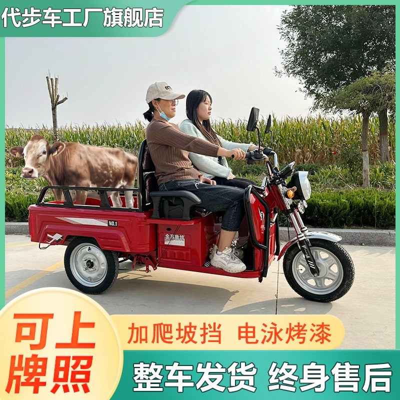 小巴士电动三轮车三轮电动车车子家用摆摊山区专用农用三蹦子