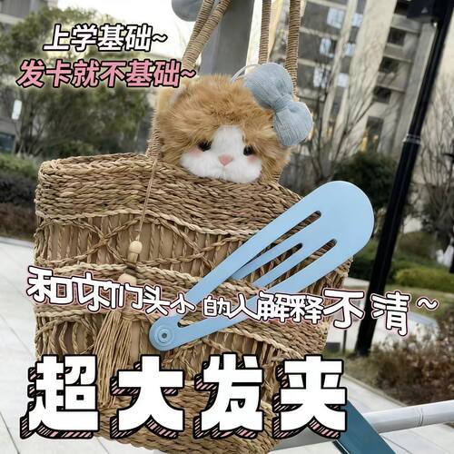 创意搞怪超大发夹梳子套装礼物
