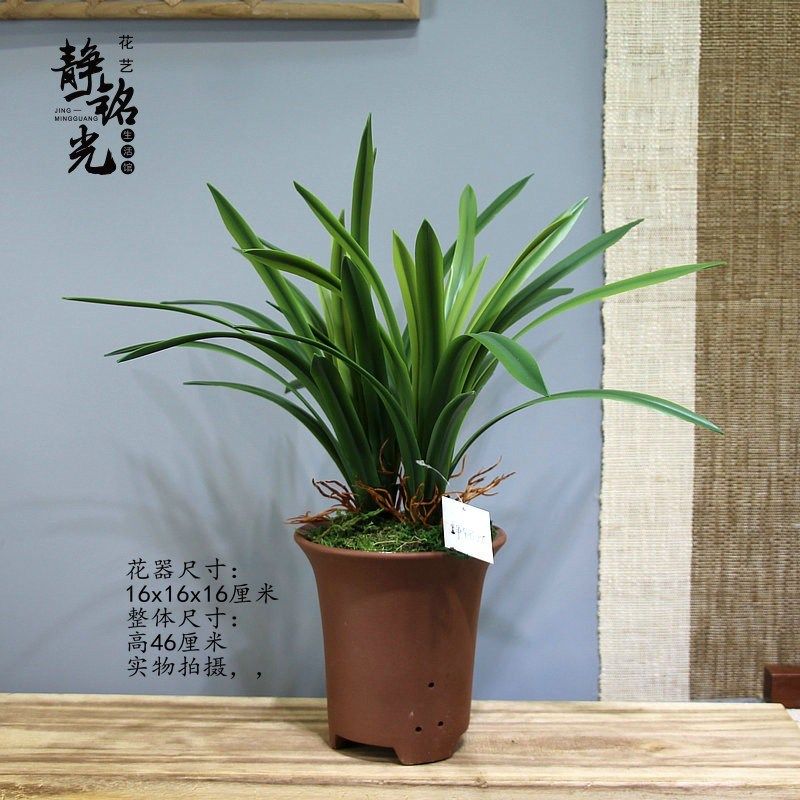 静铭光艺生活馆直销兰插样板房客厅茶几电视柜摆放仿真,家居饰品,仿真植物盆景,淘宝优惠券,粉丝福利购,淘宝优惠卷