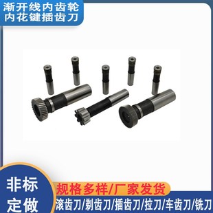 渐开线内花键锥柄插齿刀高速钢车齿刀硬质合金插齿刀小模数插齿刀