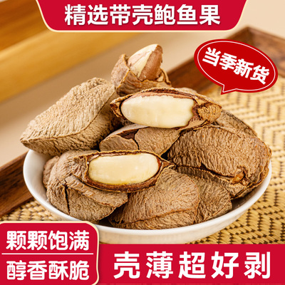 鲍鱼果新货带壳熟坚果大果特熟沙漠果孕妇年货干果休闲毛重带罐