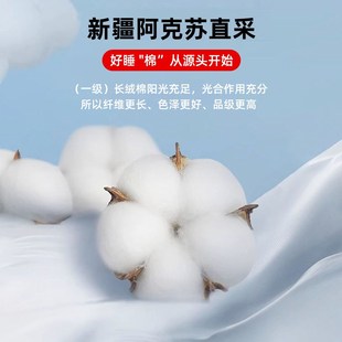 垫褥子180x200垫子150 棉花床垫软垫家用卧室床褥垫租房专用1米5