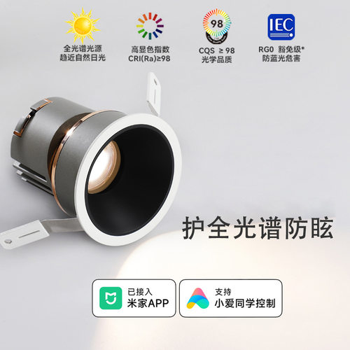 已接入米家涂鸦全光谱防眩射灯