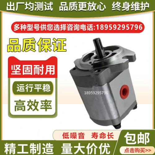 台湾KOMPASS康百世齿轮泵P104RP01GT P107RP01GT P109RP01GT 油泵