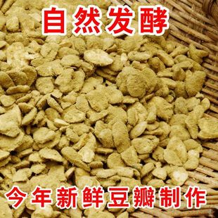四川自贡霉豆瓣1kg做豆瓣酱酱油原料发酵胡豆瓣霉蚕豆瓣郫县辣酱