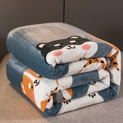 珊瑚绒毛毯床单毛绒绒的 冬季单人加厚加绒铺床的毯子单件双面绒