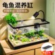 乌龟饲养缸带升降晒台爬台家用龟鱼混养缸养乌龟小型鱼缸造景别墅