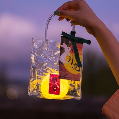 彩灯氛围灯星星灯手持网红打包月亮灯中秋节房间布置led发光灯笼