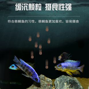 意牌元宝凤凰鱼饲料下沉型鳑鲏食大颗粒三湖慈鲷鱼飞凤通用型鱼粮