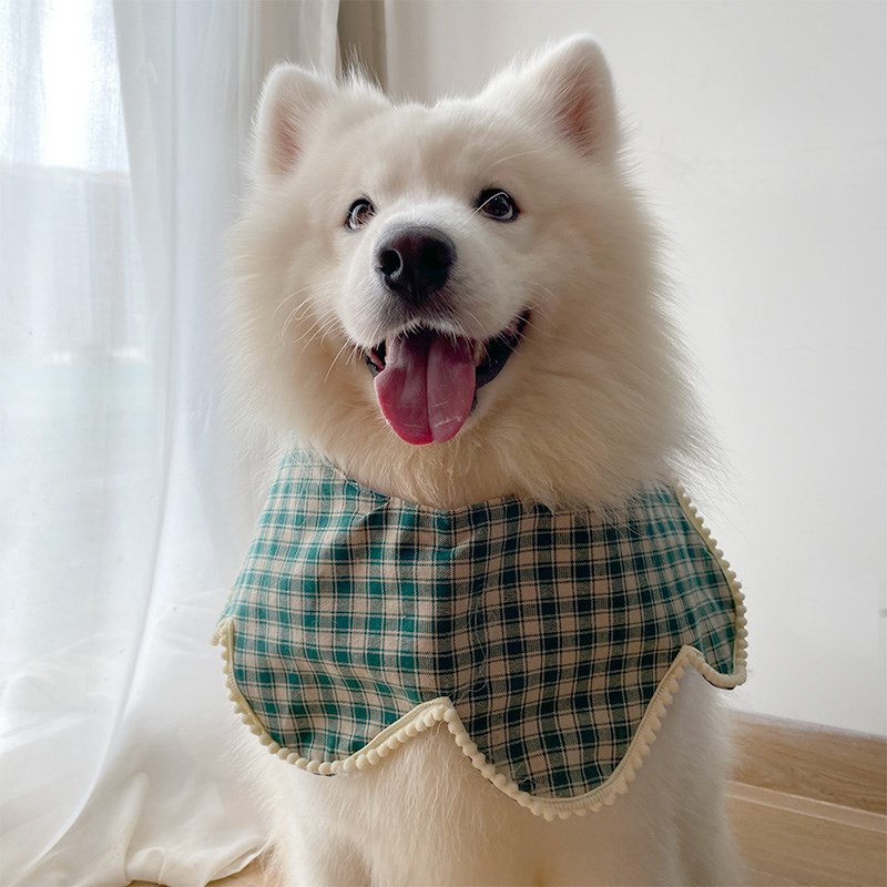 宠物狗狗新款口水巾深绿色格子花瓣围脖大中小型犬萨摩耶拉布拉多