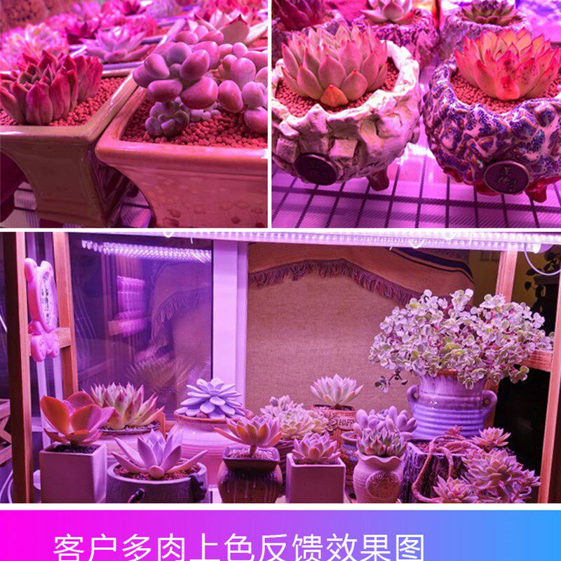 正阳全光谱led多肉补光灯家用上色快防徒长仿太阳光花卉植物生长,家装灯饰光源,植物生长灯,淘宝优惠券,粉丝福利购,淘宝优惠卷