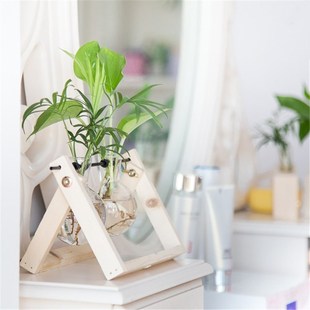 创意水培植物绿萝办公室内桌面小清新绿植盆栽花卉玻璃瓶木架摆件