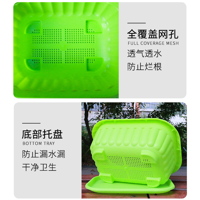 种菜盆神器家庭阳台塑料室内菜盆栽蔬菜种植带托盘加厚多肉长方形,鲜花速递/花卉仿真/绿植园艺,花盆,淘宝优惠券,粉丝福利购,淘宝优惠卷