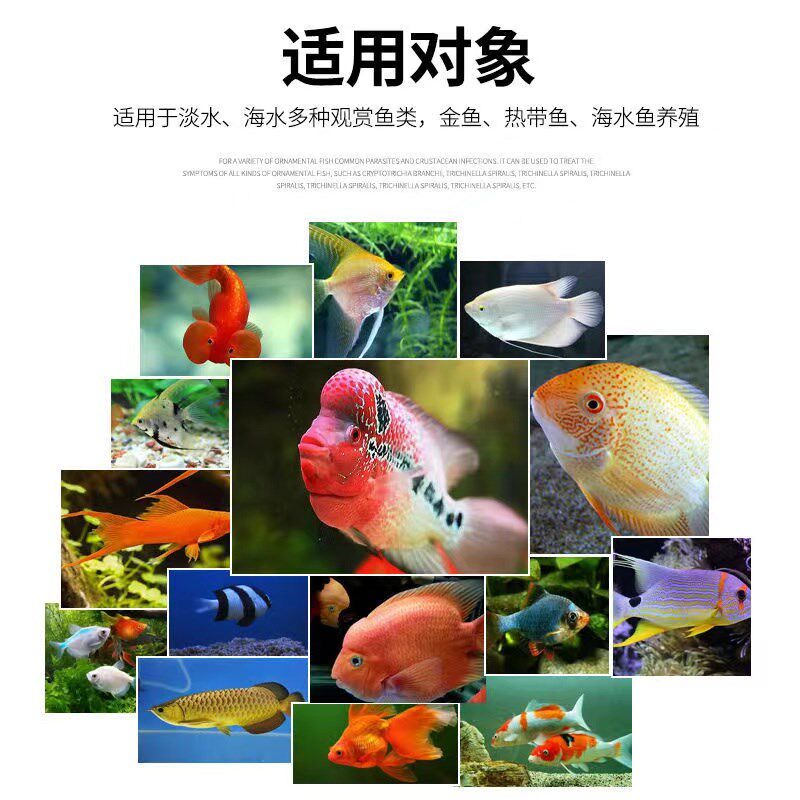 哈洁宝治外寄生虫外虫净片观赏鱼用指环虫缩鳍趴缸擦缸体外寄生虫,宠物/宠物食品及用品,其他益生菌,淘宝优惠券,粉丝福利购,淘宝优惠卷