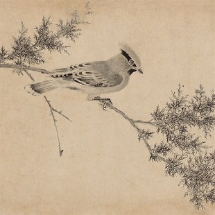 赵佶(宋徽宗) 写生珍禽图 全卷 28524.7 国画画心装饰画 高清