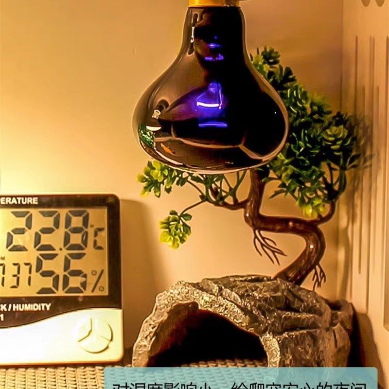 UVA夜间加温加热保温夜灯爬虫爬宠鸟箱陆龟守宫鬃狮蜥蜴恒温箱,宠物/宠物食品及用品,爬宠灯具,淘宝优惠券,粉丝福利购,淘宝优惠卷