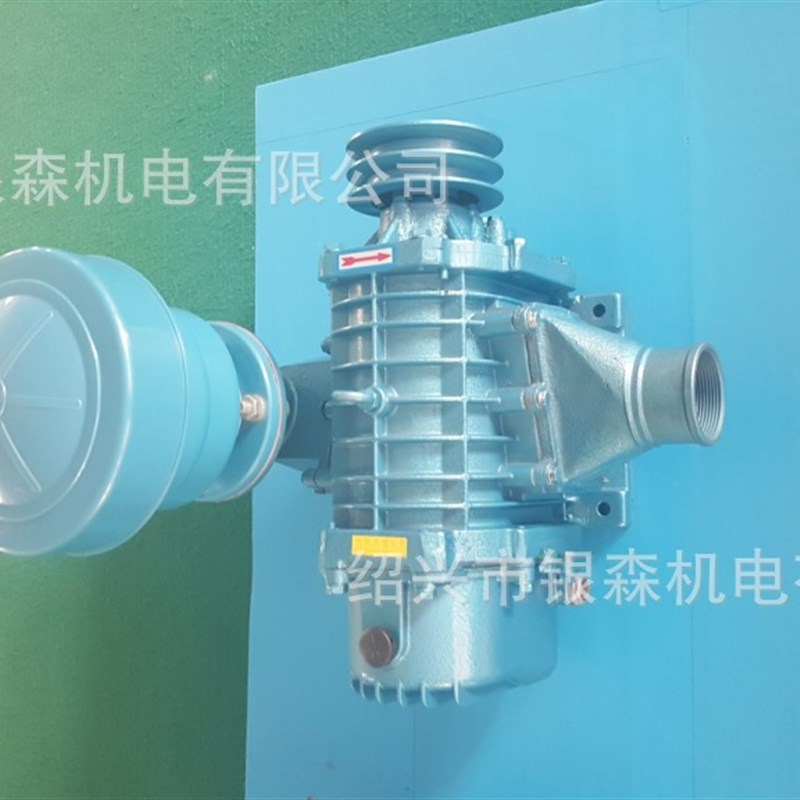 供应森森集团 罗茨鼓风机 L50-L水产养殖运输车大力泵 污水曝气机