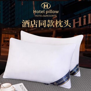 枕头枕芯男家用套装带枕套护颈椎加绒一对学生单人助睡眠成人酒店