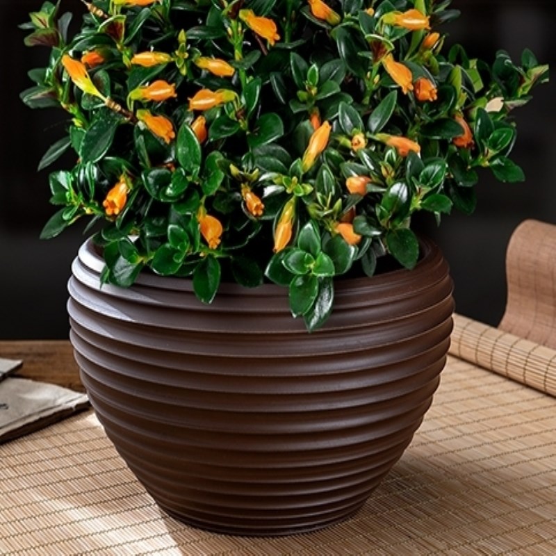 控根带孔紫砂托盘黑砂红砂无孔茶盘架托装饰品盆景文竹双用吊兰