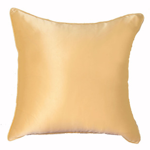 iil面真丝抱枕靠垫%桑蚕丝9姆米重磅真丝沙发含芯