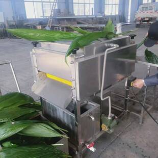 水循环过滤粽叶清洗机 山药去皮毛辊清洗机 粽叶芦苇叶双辊清洗机