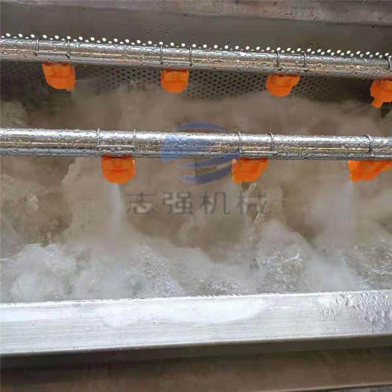 青芒果蔬气泡清洗机 脐橙柚子清洗风干设备 蔬菜配送 净菜清洗机,清洗/食品/商业设备,果蔬加工设备,淘宝优惠券,粉丝福利购,淘宝优惠卷