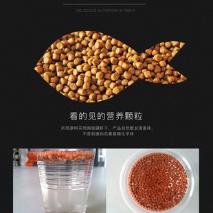 易赠红鹦鹉鱼食鱼粮血鹦鹉鱼食料饲料红财神鹦鹉增艳专用鱼粮包邮