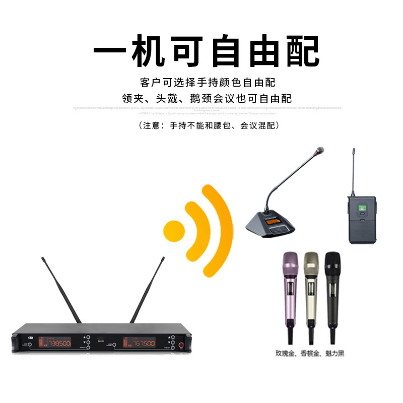 无线话筒一拖二U段调频麦克风舞台演出KTV家用唱歌专用婚庆领夹