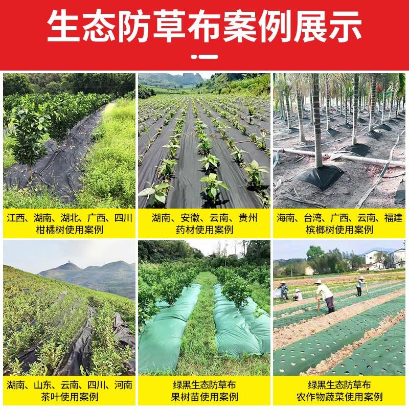 防草布绿黑色新型农用地膜盖草布遮草布透除草保湿果园果树气布