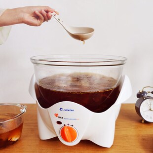 Dln德朗 D玻璃养生锅慢炖锅家用煲汤煎药膳保健电炖汤锅