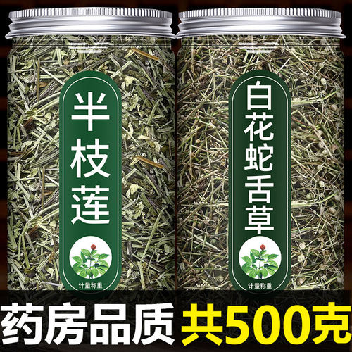半枝莲和白花蛇舌草中药材