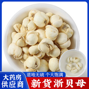 【农家新货】500克浙贝母中药材正品官方旗舰店的功效浙贝大贝母