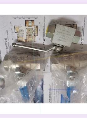 球阀 G-BEE CW617N DN25 两个 hyda