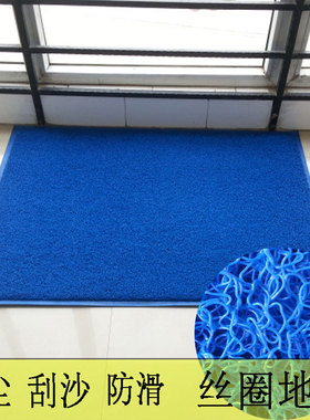 蓝色门垫丝圈家用进门口防滑垫入户除尘地垫塑料地毯出入平安门垫