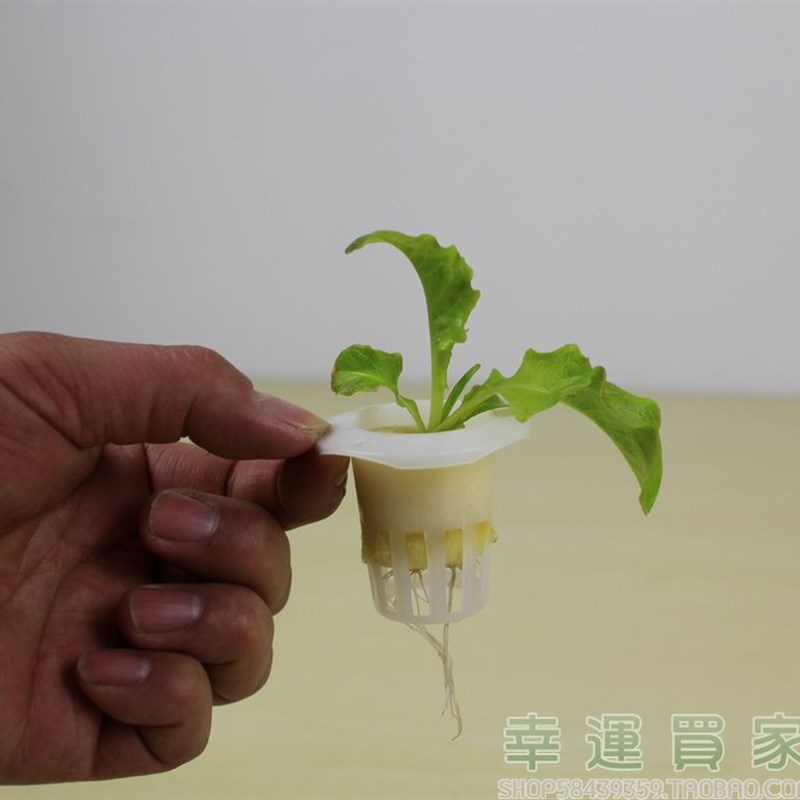 幸运买家蔬菜定植篮控根器阳台水培管道E2号2毫米加深