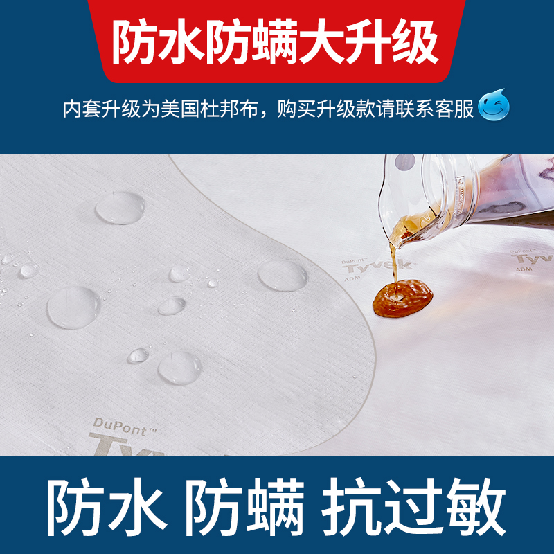 棕榈床垫棕垫1.5米床1.8m经济型软硬两用椰棕棕榈床垫定做护腰椎