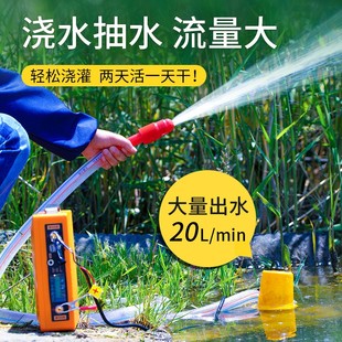 直流潜水泵小型家用12v便携1寸电动自动浇水泵充电户外浇菜浅水泵