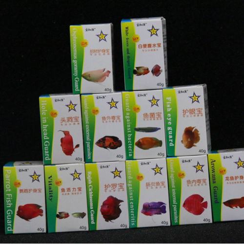 宝知渔头洞宝招财锦鲤龙鱼护身宝护眼宝肠鱼宝鱼外内寄宝鱼菌宝