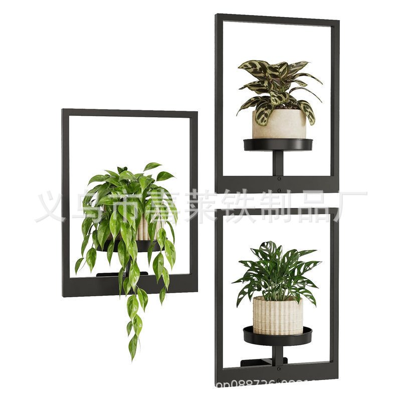 Picture Frame Wall Plant Holder 金属植物墙架饰 风格家居装饰